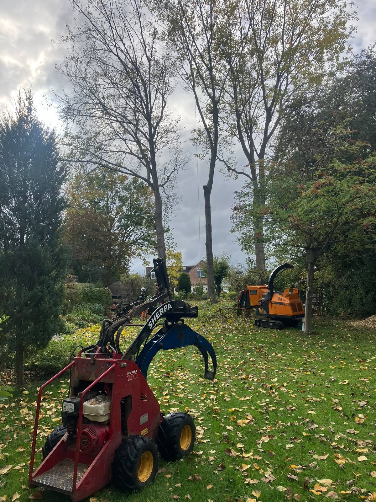 Poplar removal in Cropwell Bishop — photo 7