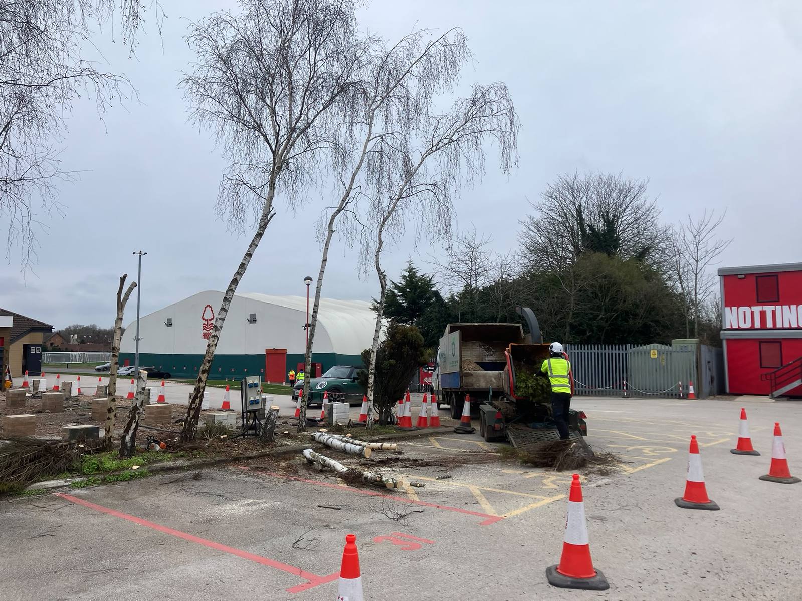 Tree work at Nottingham Forest training ground — photo 1