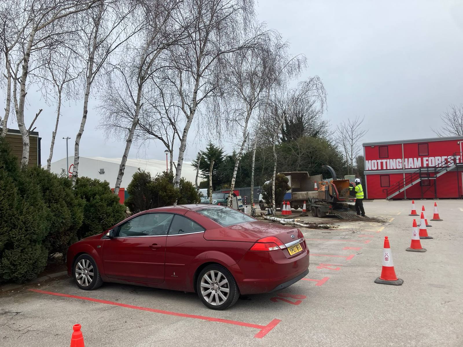 Tree work at Nottingham Forest training ground — photo 2