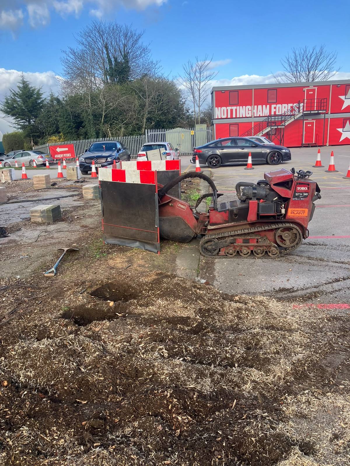 Tree work at Nottingham Forest training ground — photo 4