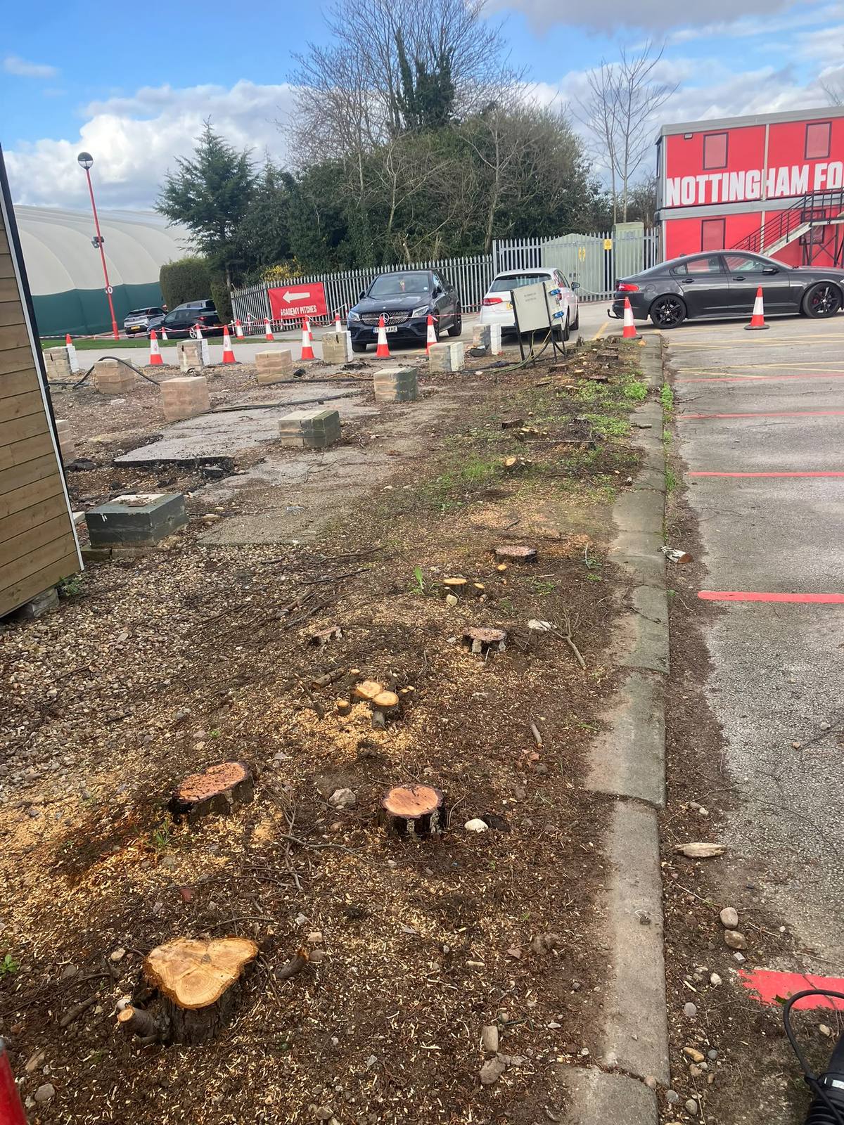 Tree work at Nottingham Forest training ground — photo 5
