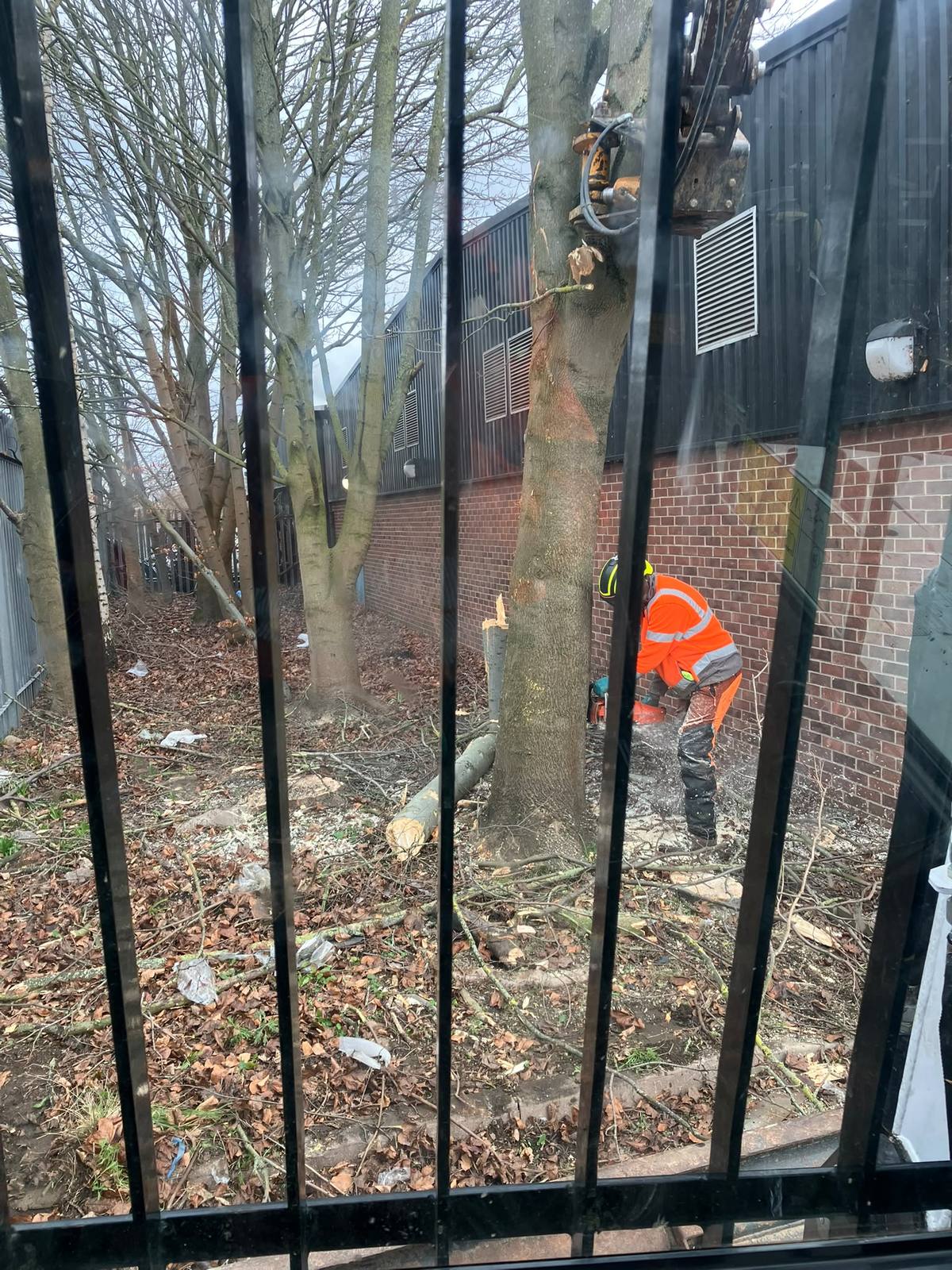 Commercial tree removal beside the railway in Leicester — photo 2