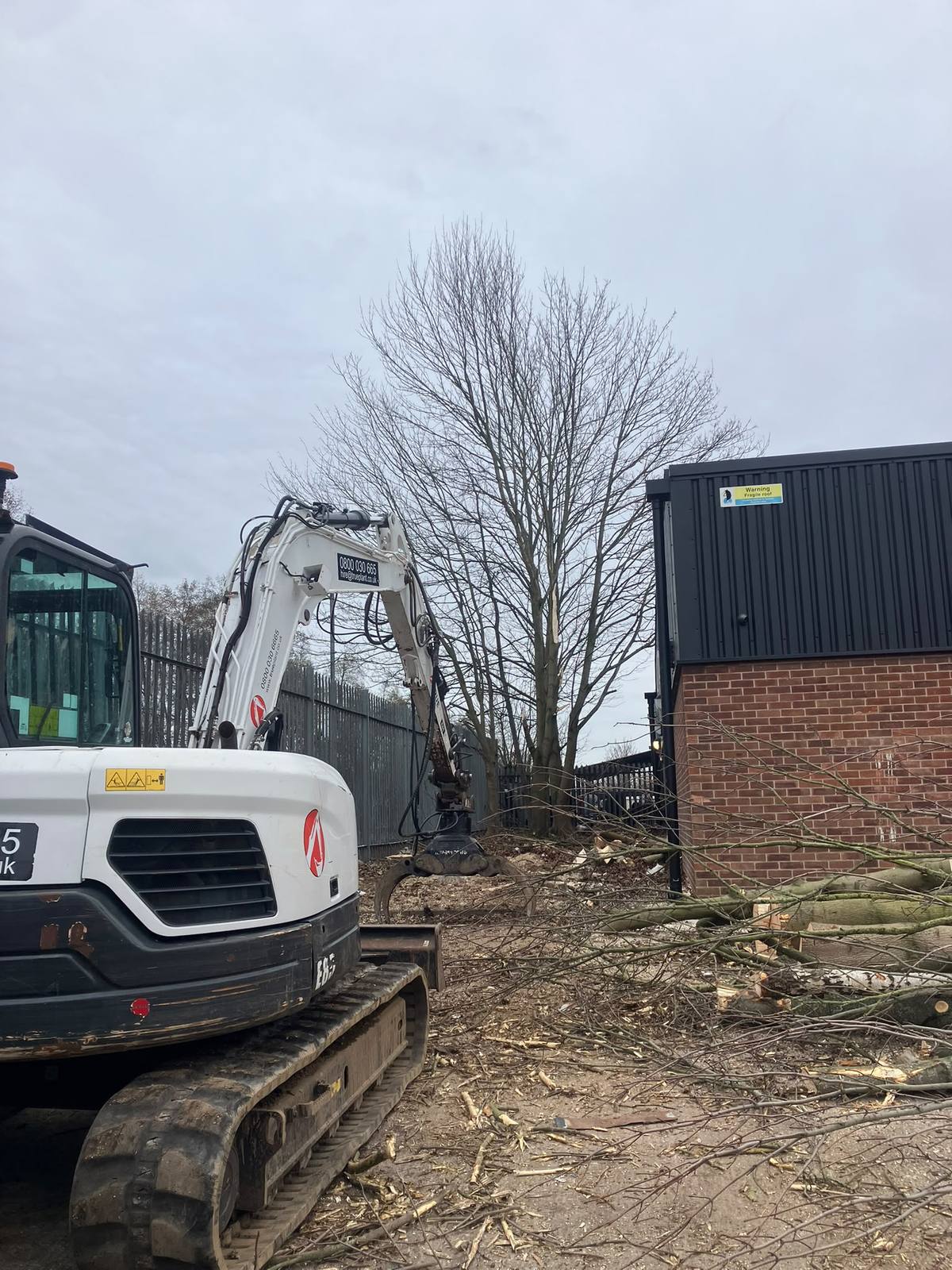 Commercial tree removal beside the railway in Leicester — photo 4