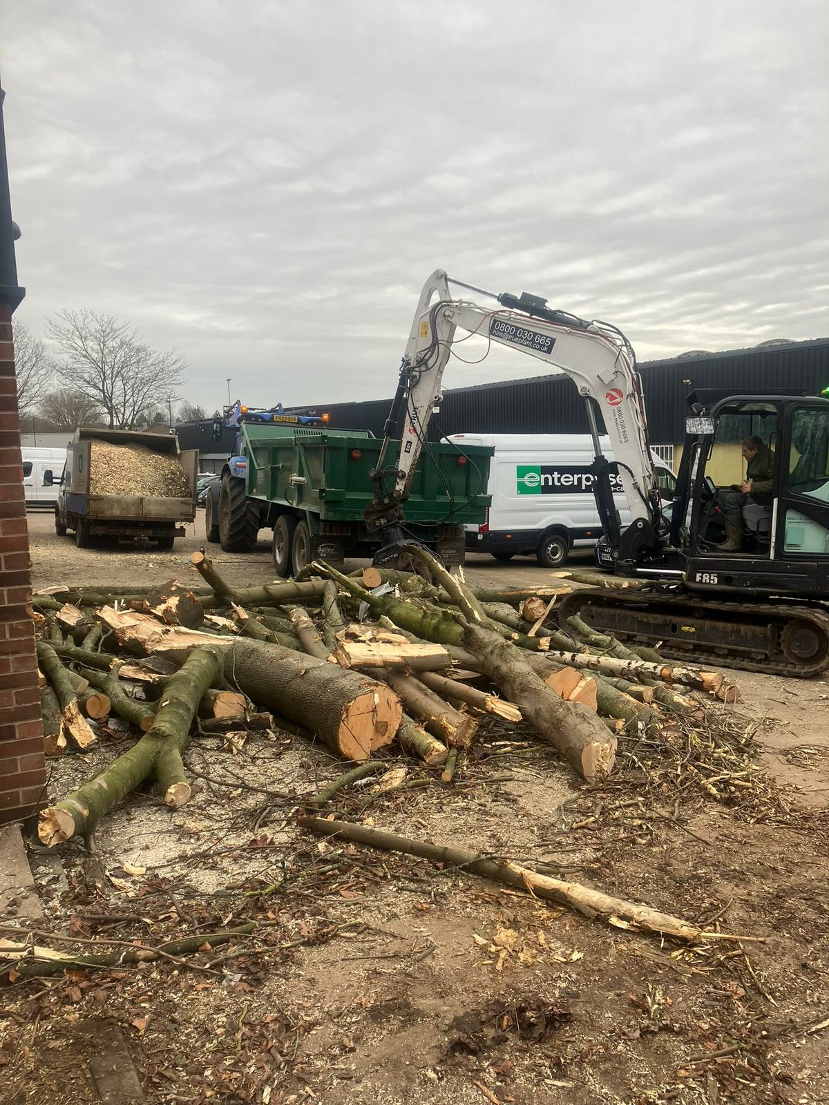 Commercial tree removal beside the railway in Leicester — photo 5