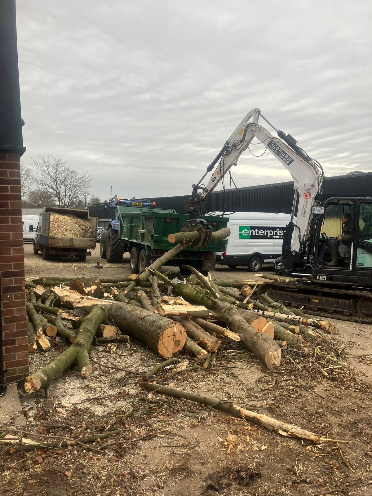 Commercial tree removal beside the railway in Leicester — photo 6