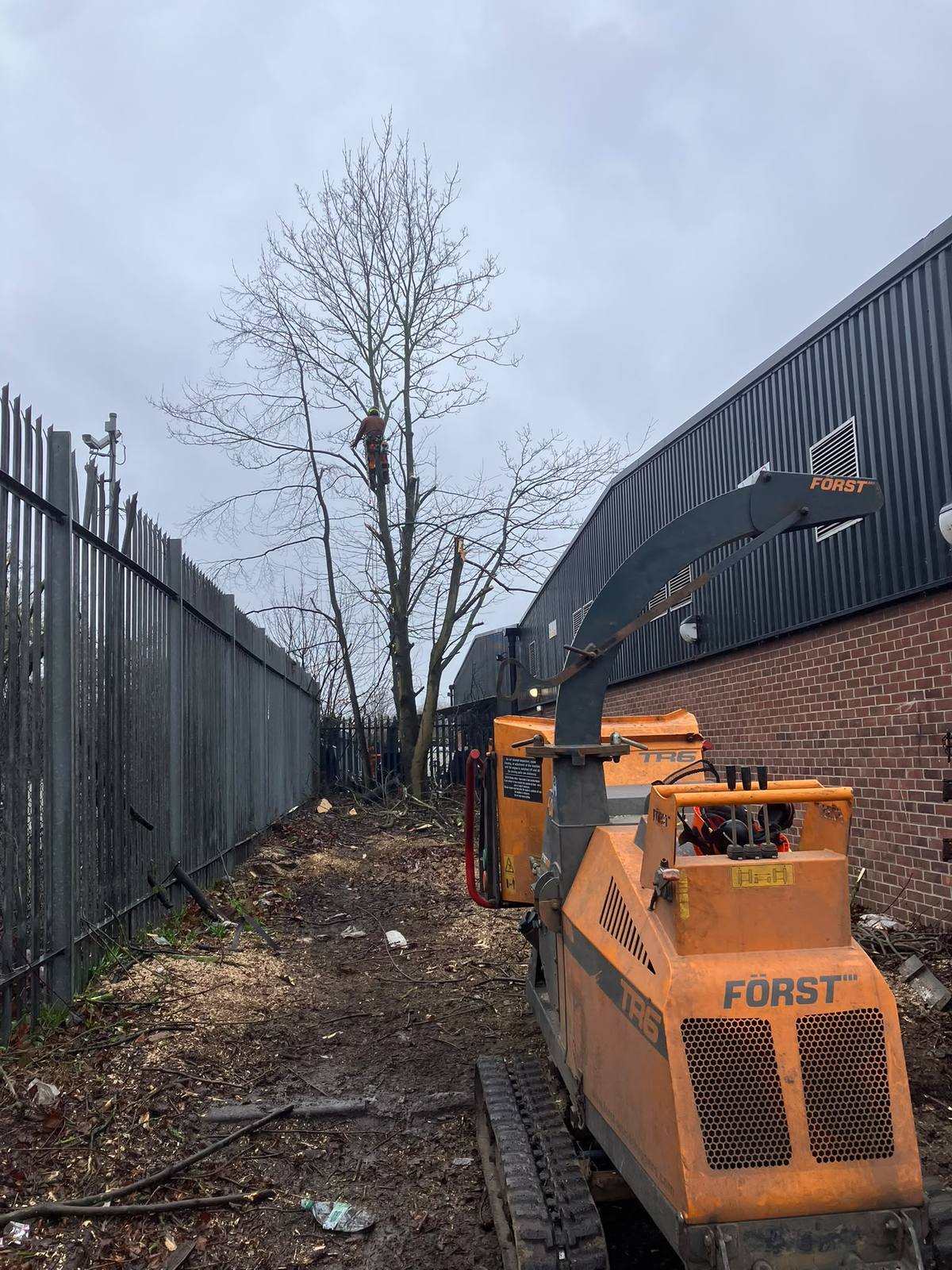 Commercial tree removal beside the railway in Leicester — photo 7