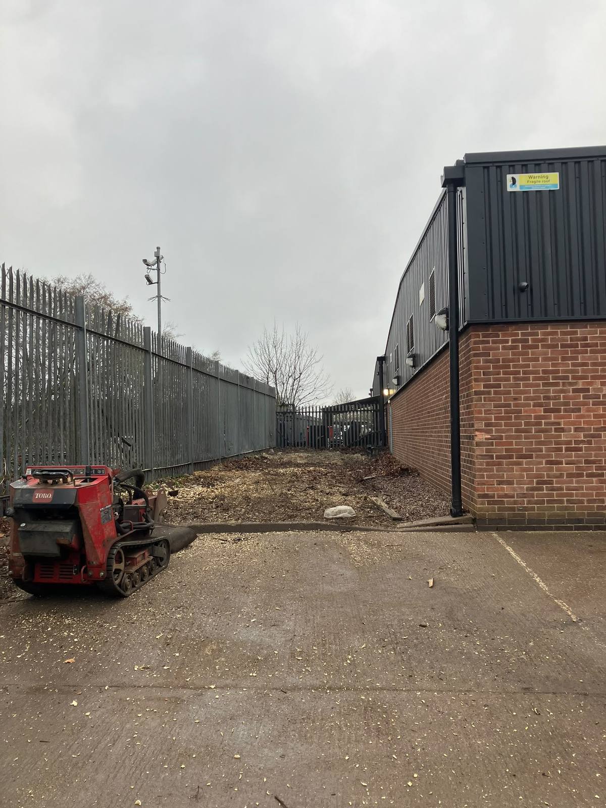 Commercial tree removal beside the railway in Leicester — photo 8