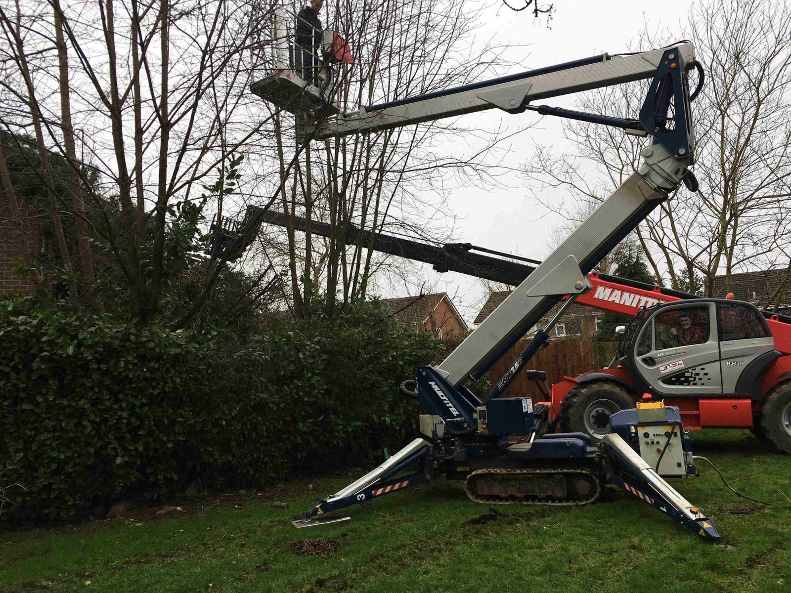 Spider lift and telehandler pruning a tall tree in a residential garden
