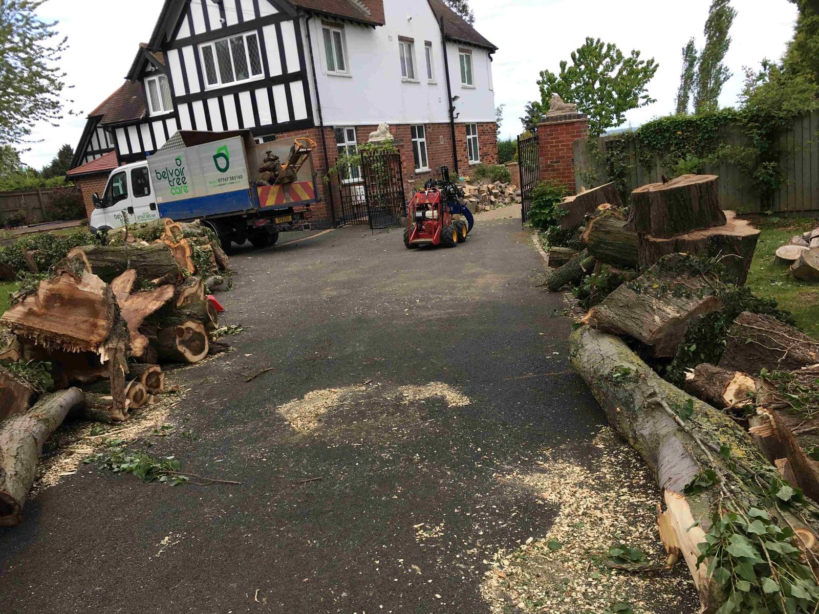 Belvoir Tree Care truck, stump machinery and cut timber on a driveway