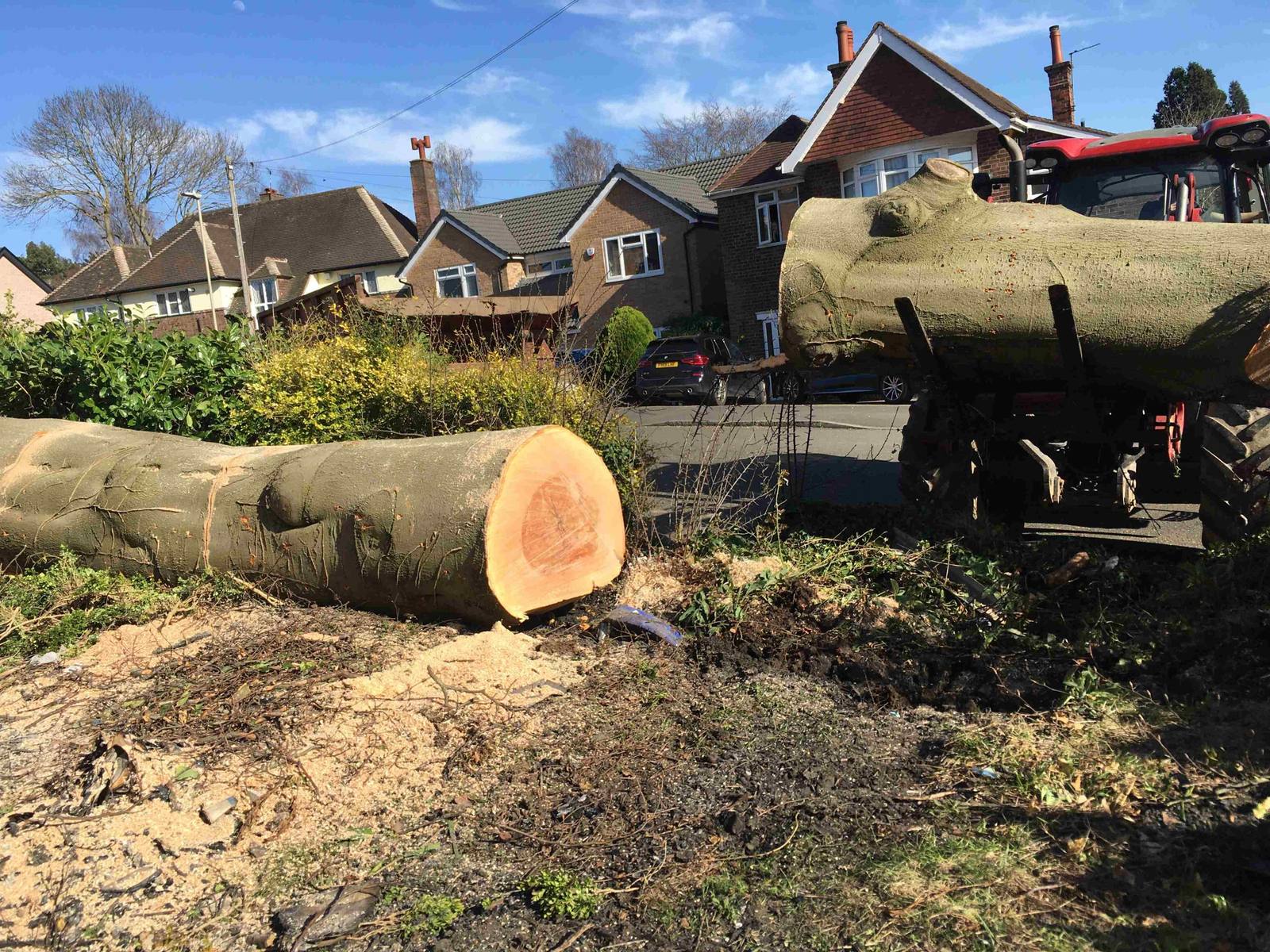 Telehandler lifting a large log beside felled timber
