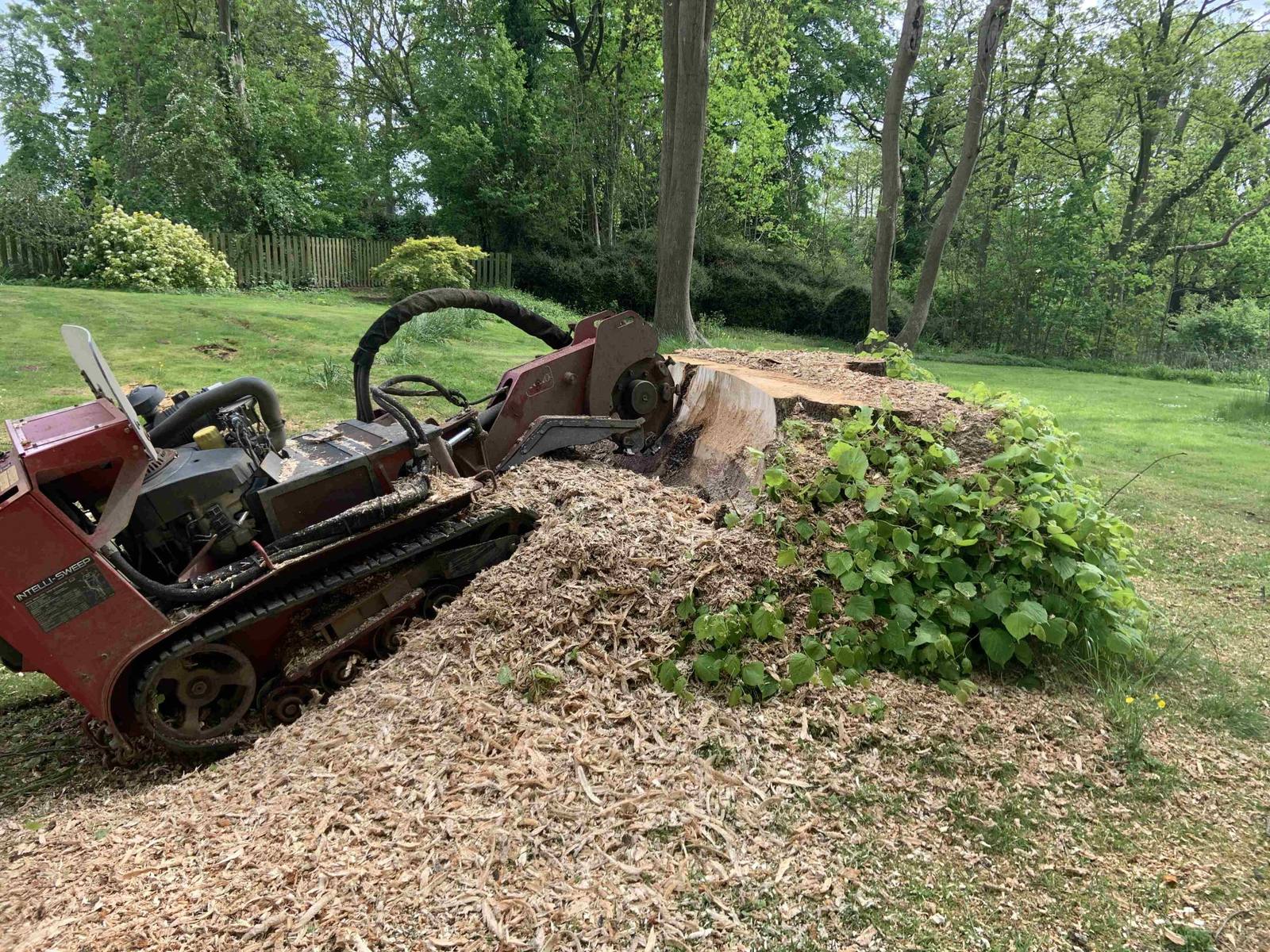Tracked stump grinder working a large stump into woodchip