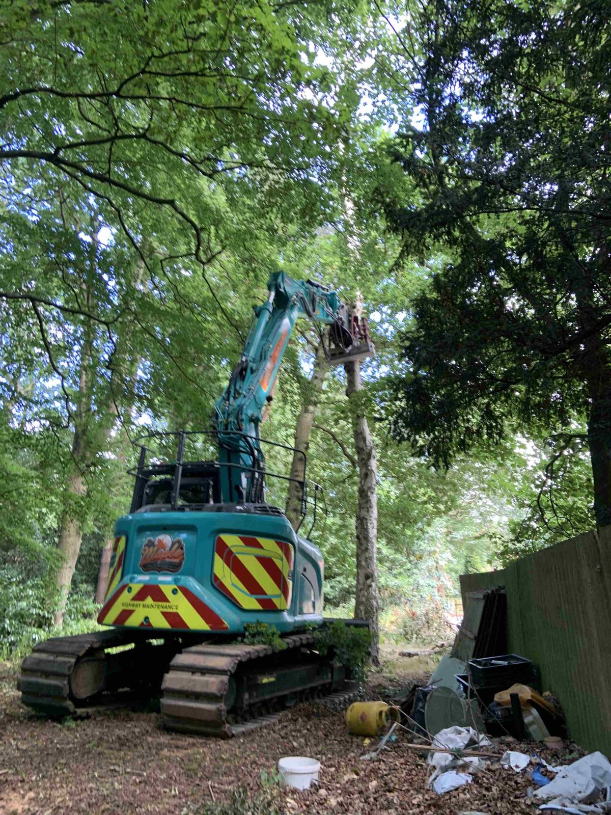 Excavator with tree shear working in dense woodland