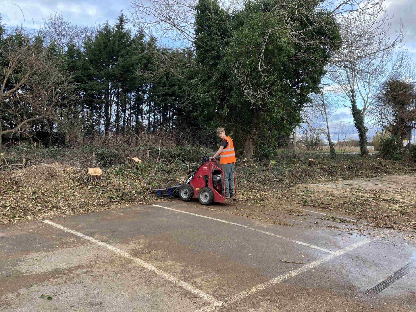 Team member in hi-vis operating a red stump grinder