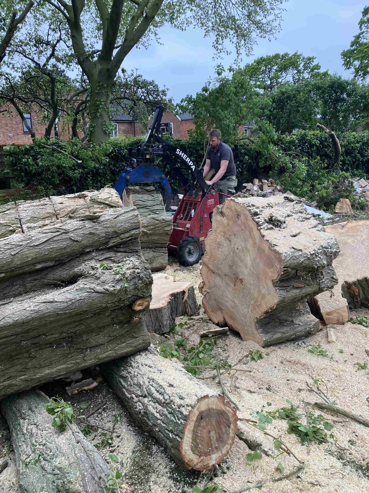 Compact tracked loader moving large trunk sections